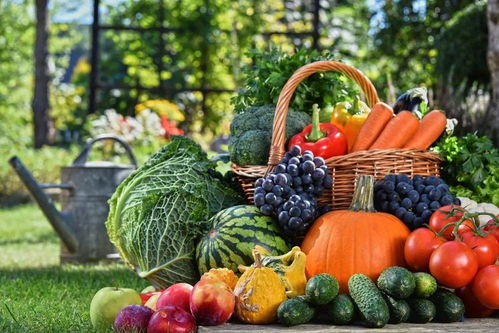 德清農副產品特色美食歡樂購開啟，新鮮蔬菜等您來選購