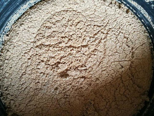 正宇多多黑水虻發(fā)酵蟲(chóng)漿 內(nèi)陸水產(chǎn)養(yǎng)殖的綠色革命，魚(yú)蝦健康新“食”代