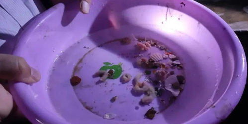 威海市推進(jìn)水產(chǎn)健康養(yǎng)殖 示范場(chǎng)驗(yàn)收與原良種場(chǎng)考察并舉，助力內(nèi)陸水產(chǎn)養(yǎng)殖銷(xiāo)售提質(zhì)增效